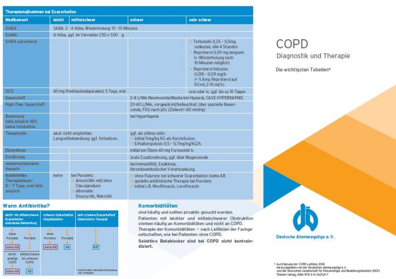 Chronisch Obstruktive Lungenerkrankung COPD Leitlinie - Deutsche ...